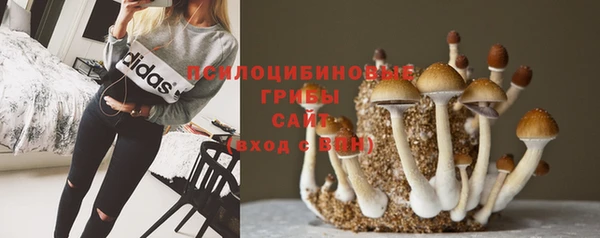 шишки Абинск
