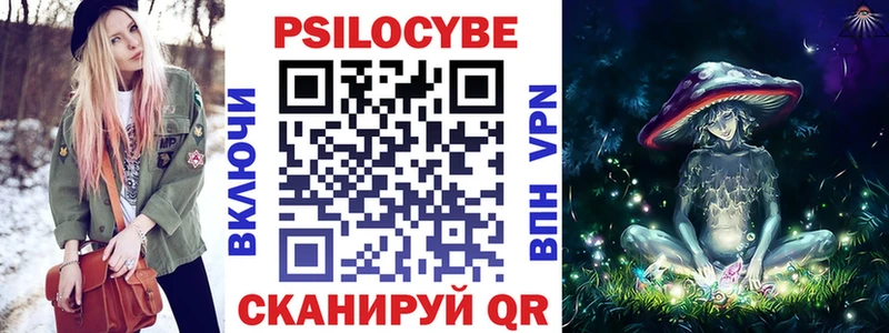 Псилоцибиновые грибы Psilocybe  Сорск 